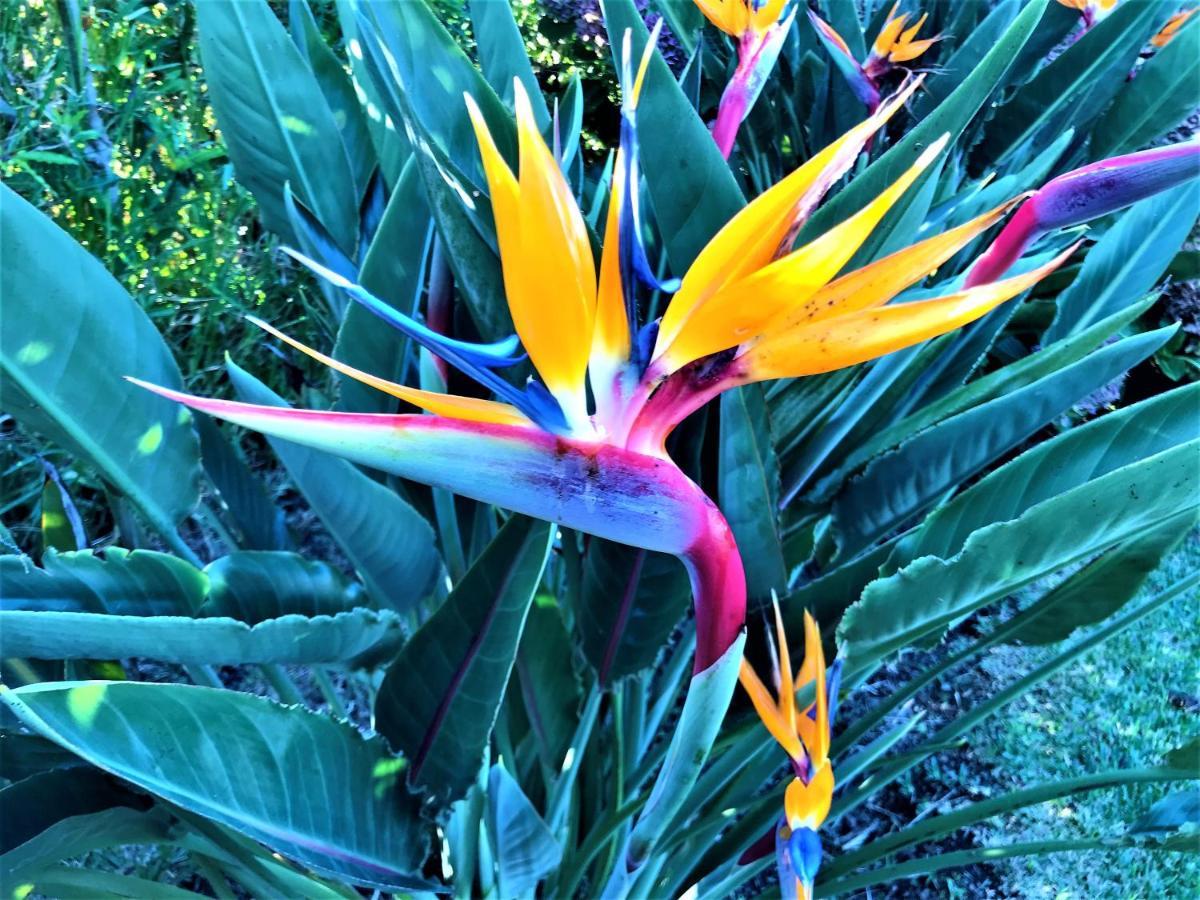 Surf Beach_Santa Barbara Secret Gardens هيبيرا غْريندي المظهر الخارجي الصورة